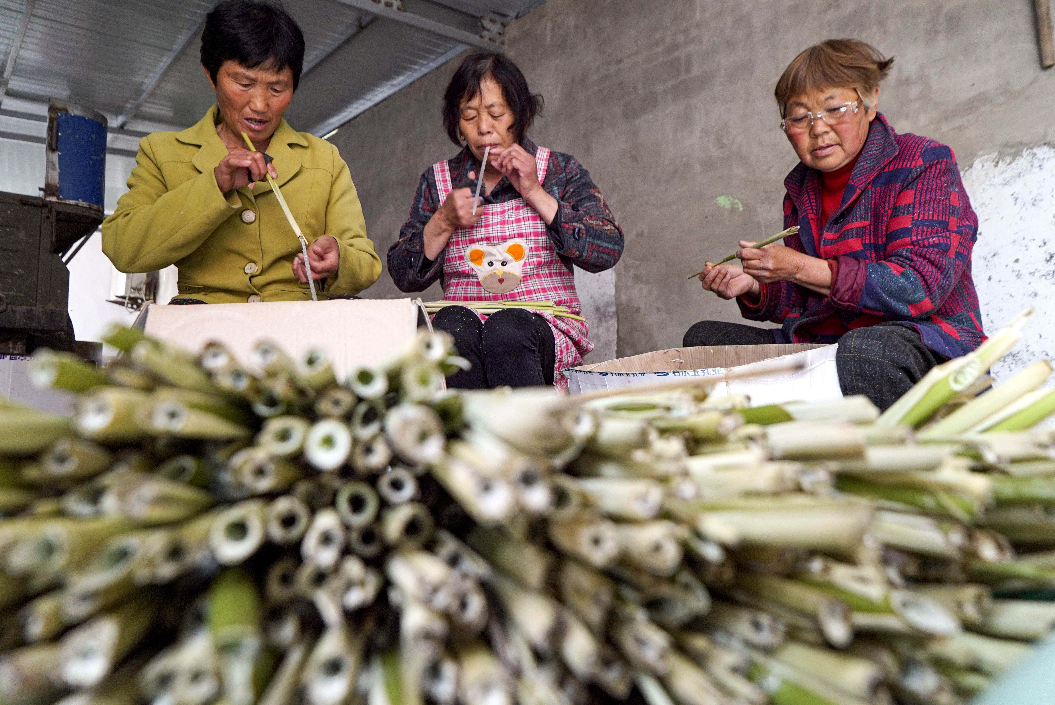 安徽五河县:笛膜产业,奏响乡村振兴“致富曲”_fororder_2