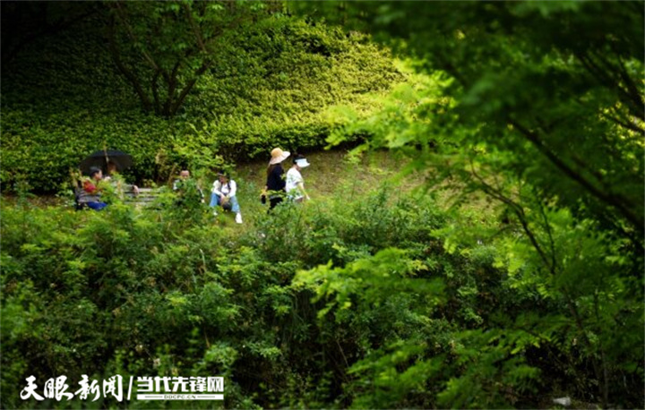 （中首）贵阳双龙生态公园：游客“吸氧”好去处
