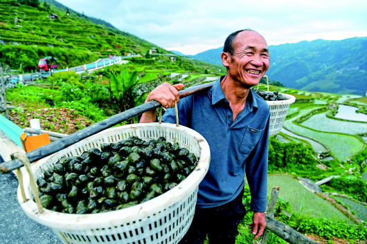 贵州：“产业革命”助力山区摆脱贫困