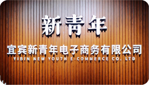 从0到1 专注金融渠道深耕 回顾宜宾新青年9年成就