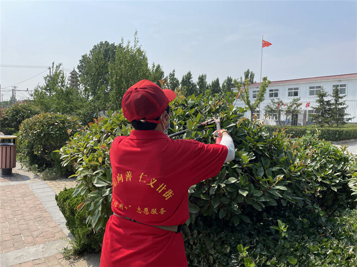 【原创】济宁市任城区：激发群众参与热情 构建人居环境治理长效机制_fororder_（正文第一段下第二段上）任城区农村志愿者在修剪村庄公共空间花草树木