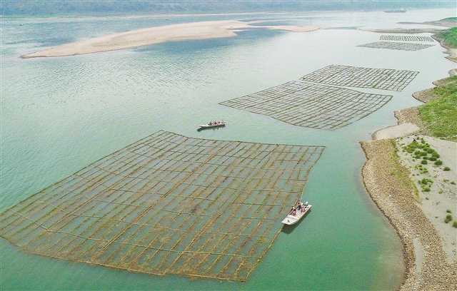 重庆：绿色发展 加快建设山清水秀美丽之地_fororder_2022-05-30-006-301488-6