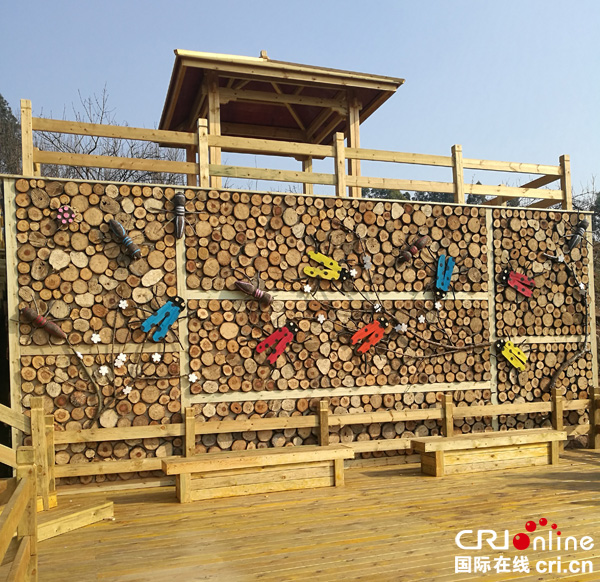 图片默认标题_fororder_木制昆虫艺术作品（摄影-韩章尧）