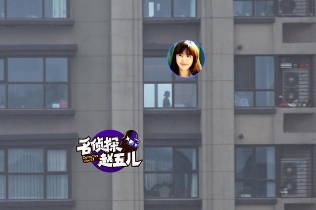 李菲儿否认有新恋情：别闹了，我单身很久了