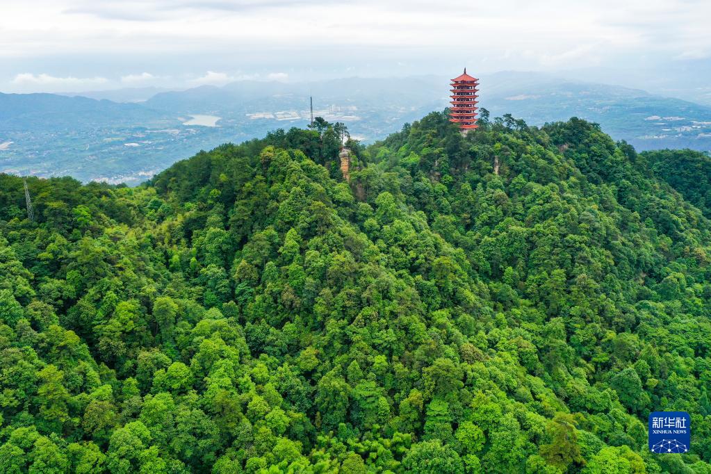 【城市远洋带图】重庆缙云山:城市“绿肺”又回来了_fororder_1128718112_16545108304931n