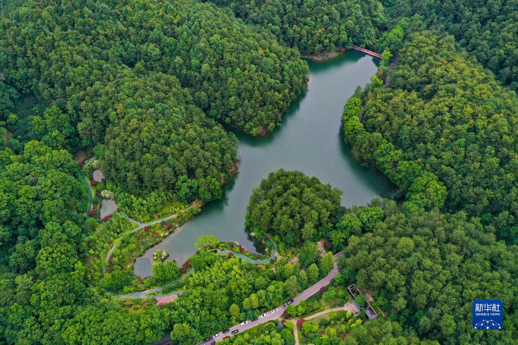 【城市远洋带图】重庆缙云山:城市“绿肺”又回来了_fororder_1128718112_16545108305621n