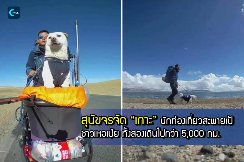 图片默认标题_fororder_09