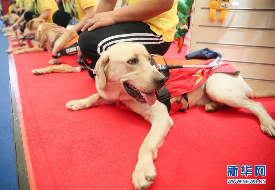 第22届亚洲宠物展在上海举行