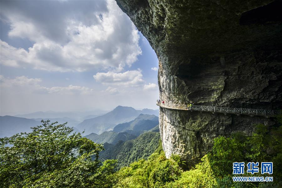 重庆金佛山：喀斯特地貌显奇观