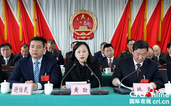 图片默认标题_fororder_贡井区委书记黄劲讲话