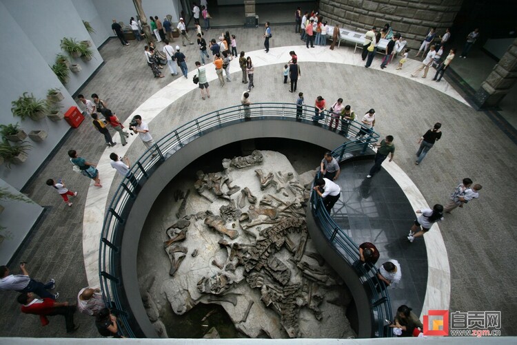 （转载）彰显“博物馆的力量” 自贡恐龙博物馆获奖不断
