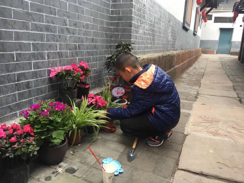 图片默认标题_fororder_2