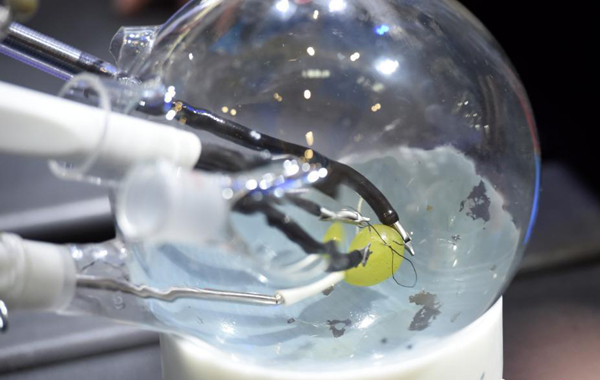 图片默认标题_fororder_jiqiren1