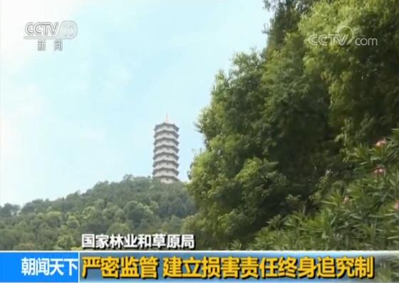 国家林业和草原局：升级天然林保护 守住绿水青山