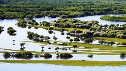内蒙古呼伦贝尔市已建立13处国家湿地公园