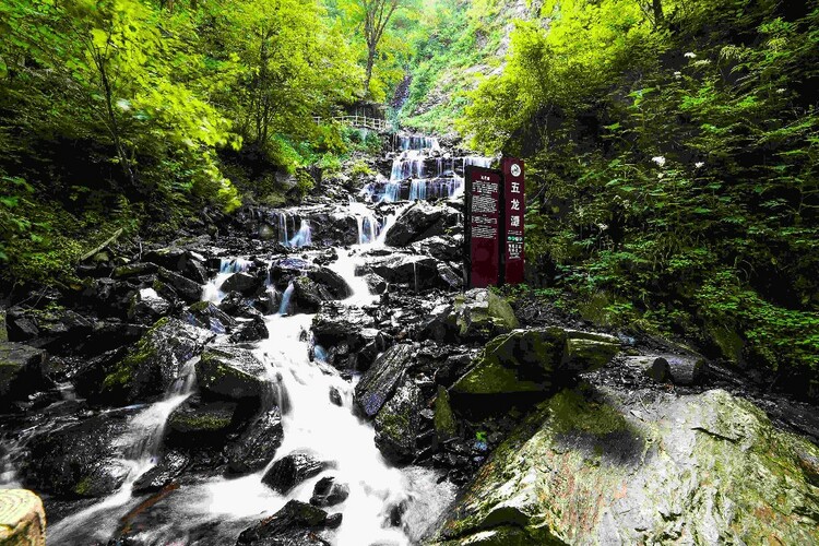 实名制预约购票 凤凰山国家森林公园5月28日开园迎客