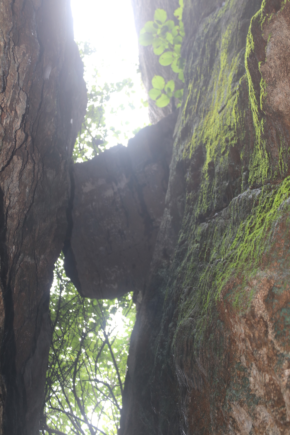 美景山东丨熊耳山：国内罕见的石灰岩地质地貌奇观