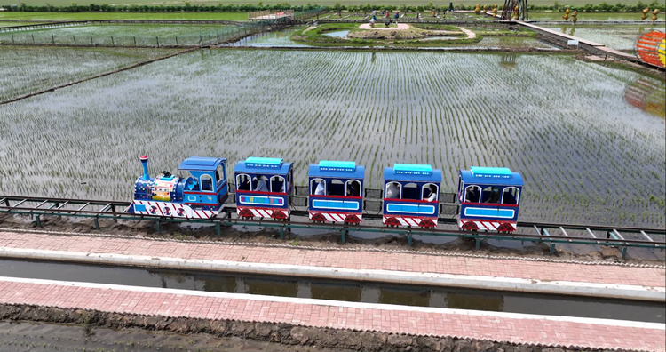 呜呜呜……小火车来了，百亩稻田公园开园