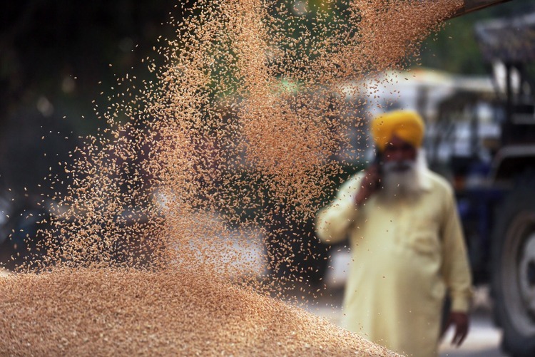 印度拟限制糖出口　恐推高全球食品价格