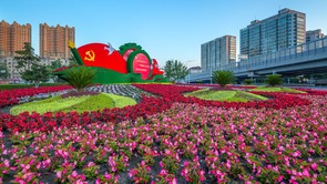 哈尔滨城中“花海”：妆扮了城区，美丽了街景