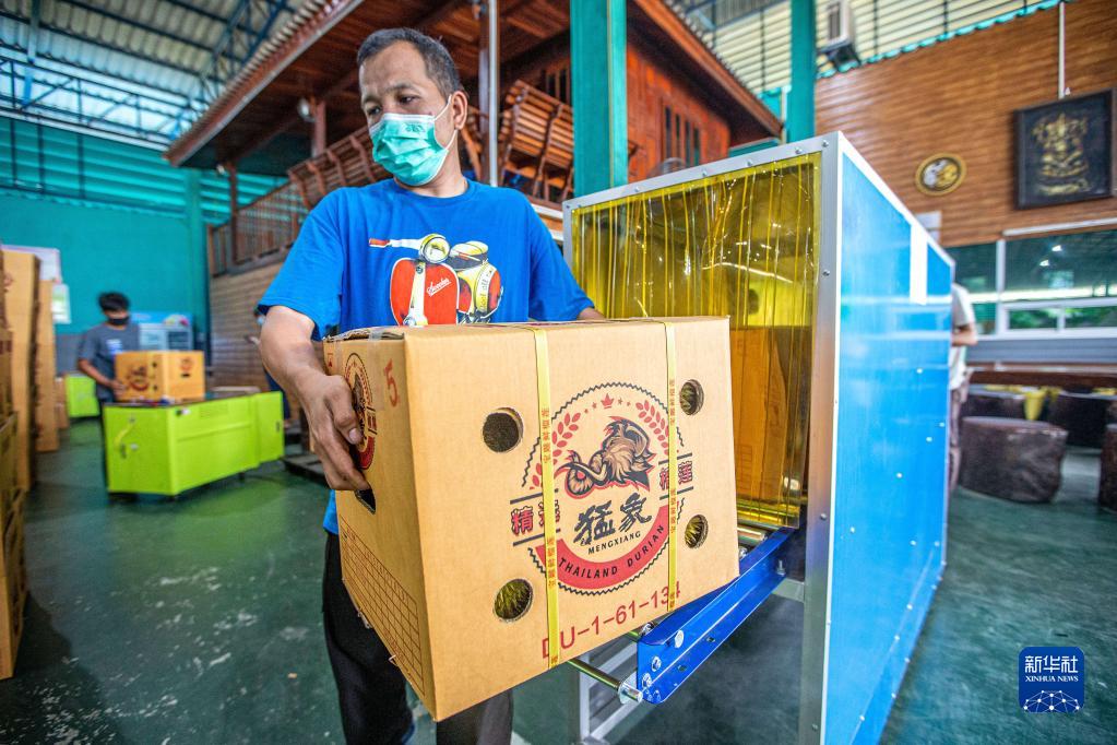 让更多中国人吃到泰国榴莲——RCEP给泰国果农扩大出口带来新期盼