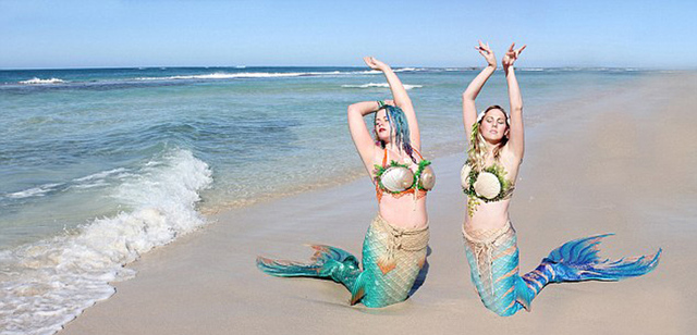 澳大利亚两女子化身"美人鱼"与鲨鱼共舞(组图)
