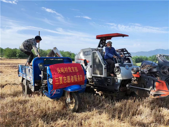 三门峡市陕州区宫前乡：“三夏志愿者服务队”服务群众夏收夏种_fororder_微信图片_20220614163743