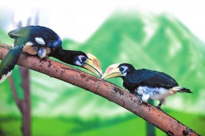【旅游资讯-图片】【图说3】郑州市动物园“鸟”趣横生
