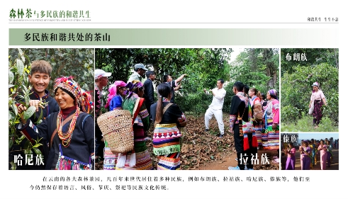 臻字号受邀参加国创会国际茶日线上座谈会