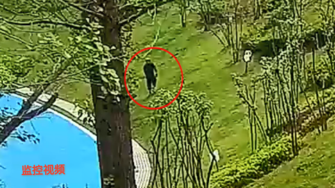 (转载)男子白天在停车场撬车锁盗窃 当晚就被达州高新公安抓捕归案