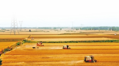 河南省财政下达27.18亿元补贴实际种粮农民