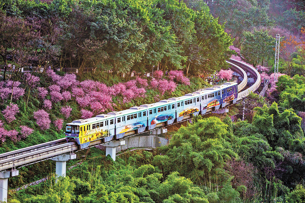 【城市远洋带图】重庆:近悦远来 城市提升让生活更美好