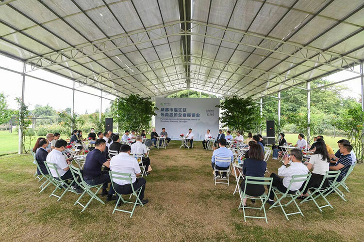 提振信心“稳增长” 成都温江召开外商投资企业座谈会_fororder_座谈会现场-供图-成都市温江区委宣传部