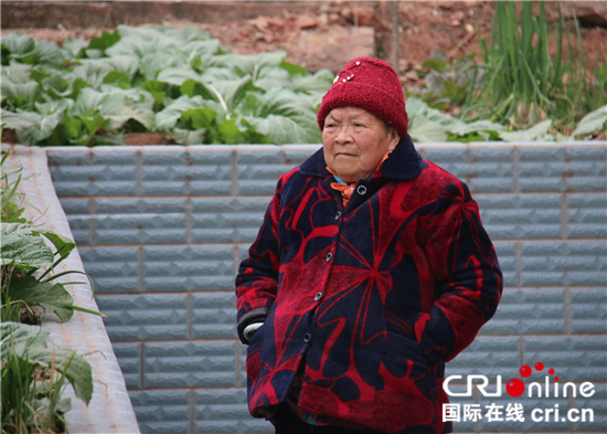 2017年全国十大老龄新闻揭晓