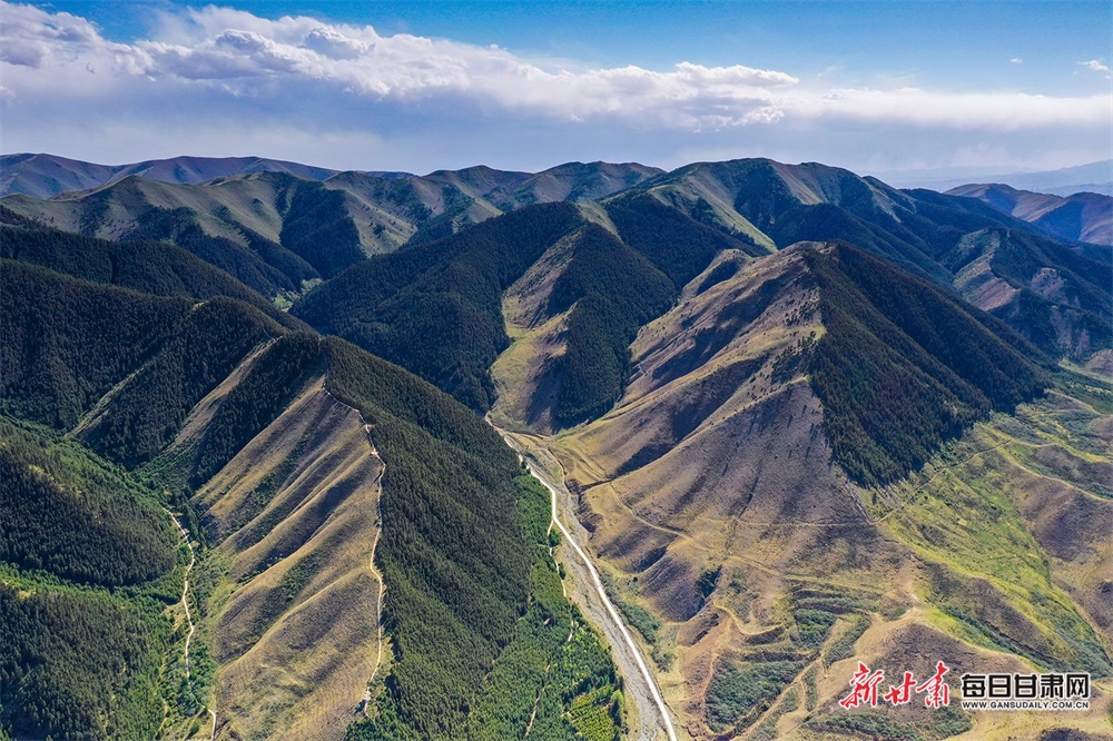 好不惬意 在景泰寿鹿山听松涛观云海_fororder_2