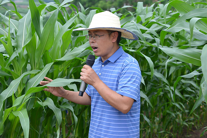自贡荣县:“三级书记”齐抓25万亩大豆生产_fororder_1川农大刘教授现场培训