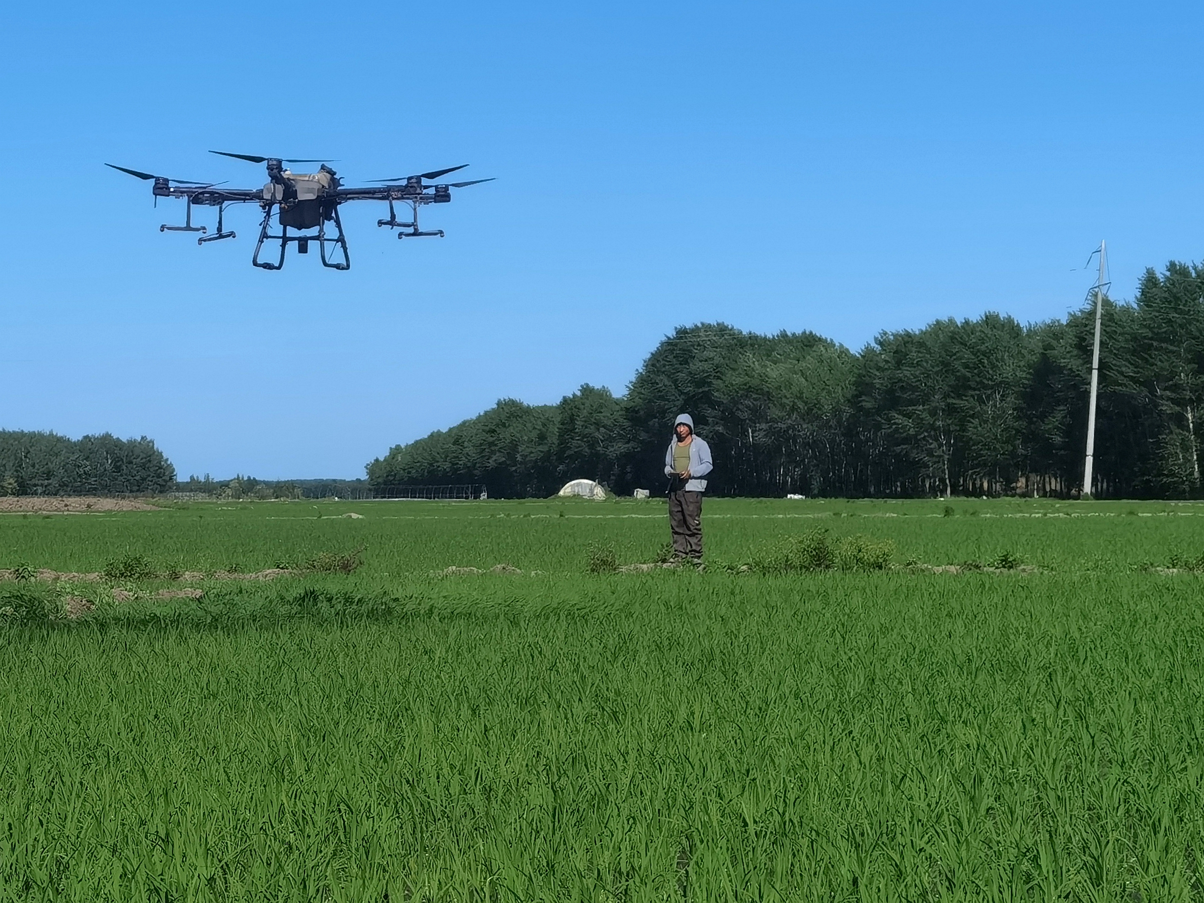 鸭绿河农场:无人机施肥精准高效促增产