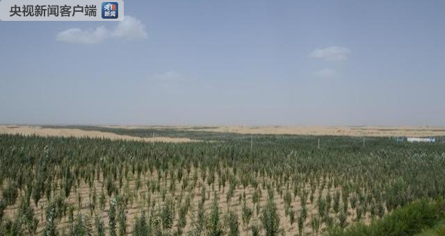 国家林业和草原局：我国启动首次林草种质资源普查工作