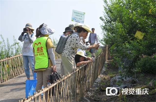 “走向我们的小康生活”大型主题采访报道活动走进重庆——“解码”山城人民的小康生活