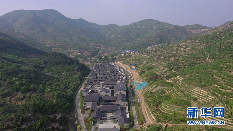 乡村振兴在行动|“党建联盟”串起山村共同富裕链