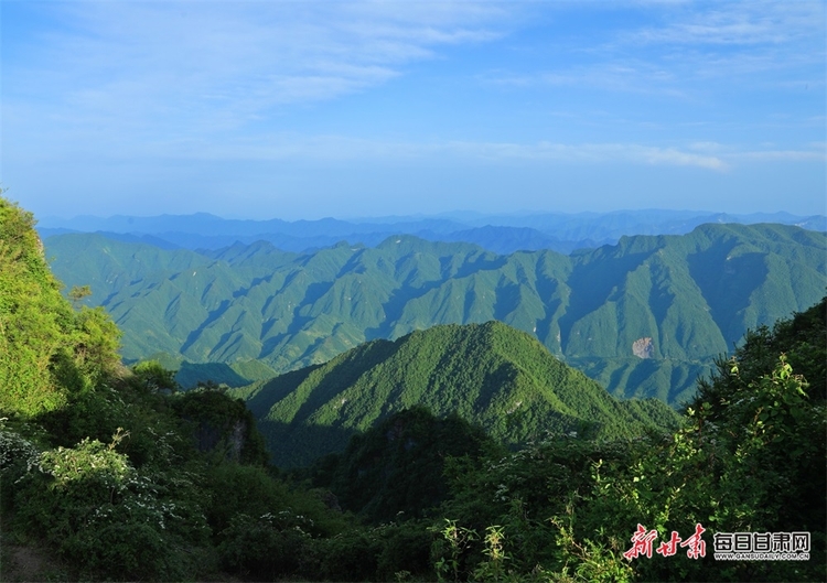 【焦点图】集华山之险和庐山之秀于一身 康县龙王山你去过吗_fororder_4