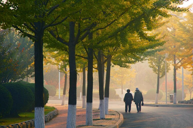 东北财经大学:2022年新增审计学等两个专业 多措并举为学生深造搭建宽广平台 东北财经大学:2022年新增审计学等两个专业 多措并举为学生深造搭建宽广平台_fororder_5