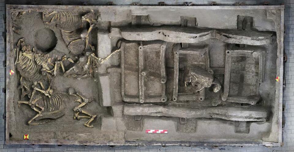 河南洛阳：2600多年前戎人王级大墓陪葬车马坑全貌显现