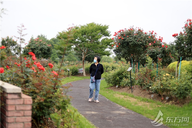 上海六一再开131座城市公园