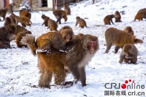 图片默认标题_fororder_微信图片_201801241126072