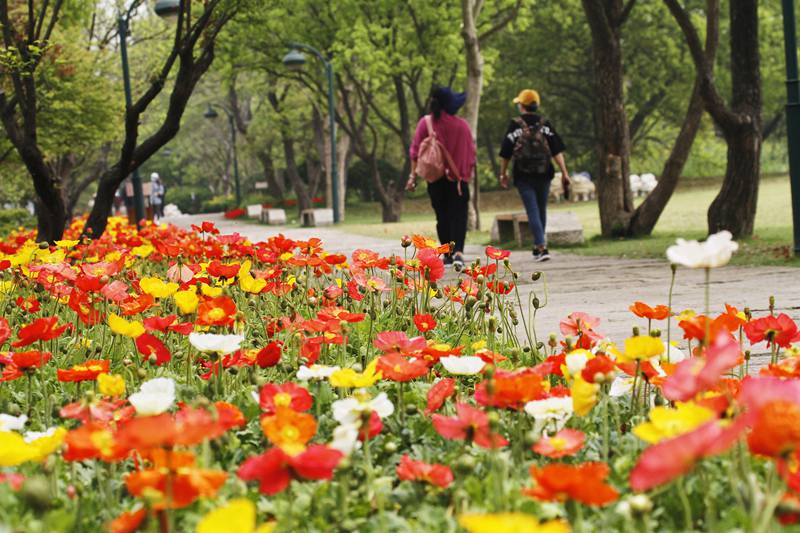 （生态）6月起正式施行！杭州西溪国家湿地公园保护管理工作迎新规_fororder_3