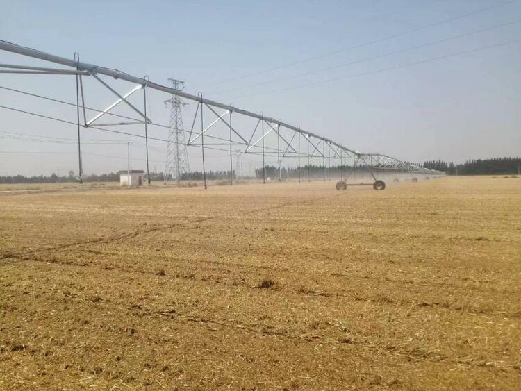 抢抓农时稳粮增豆 产粮大省山东夏种一线见闻