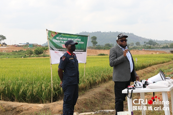 中国杂交水稻技术为提高尼日利亚稻米产量做出贡献_fororder_202206040011