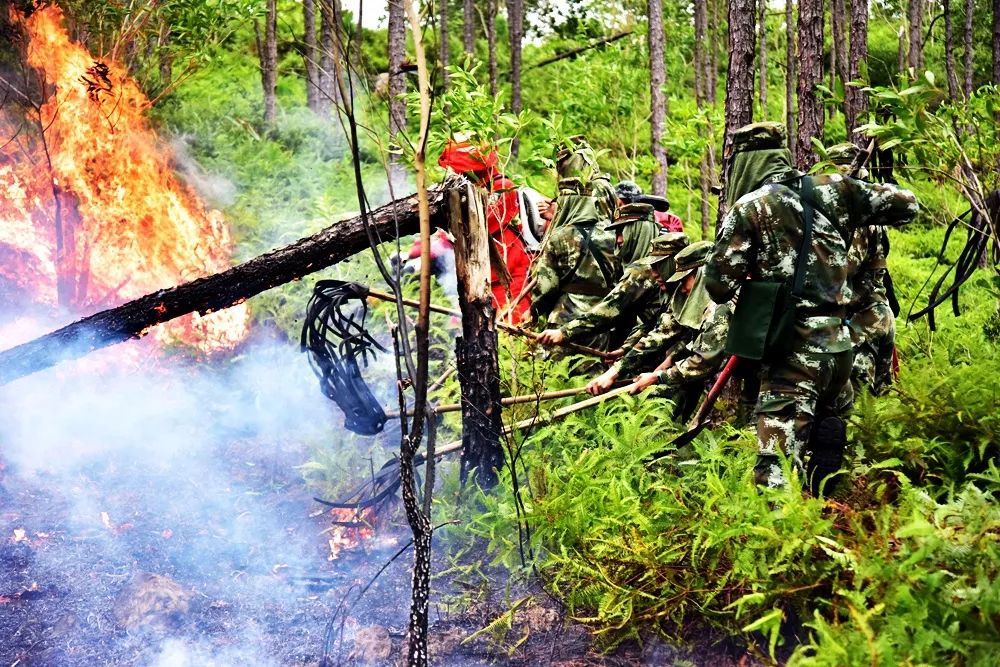这几天，一南一北，多亏你们了！