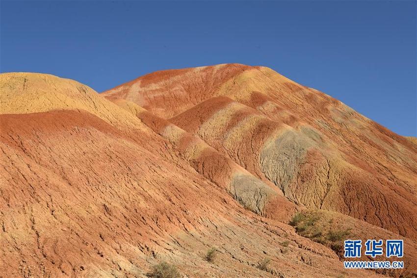 图片默认标题_fororder_dx8